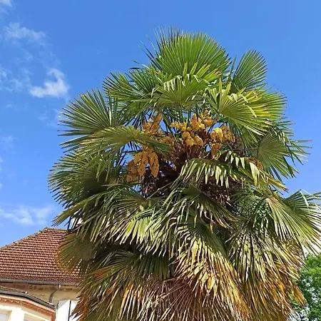 Le Domaine De L'escadasse